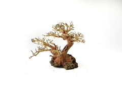 Test test don't buy bonsai driftwood tree - style fantasy 2 15cm tall