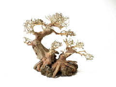 Test test don't buy bonsai driftwood tree - style fantasy 2 15cm tall