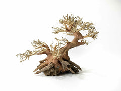 Test test don't buy bonsai driftwood tree - style fantasy 2 15cm tall
