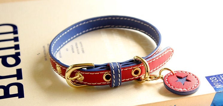 Handmade Leather 4th of July Dog Collar and Leashn | Independance Day Captain America Red and Blue Luxury Collar