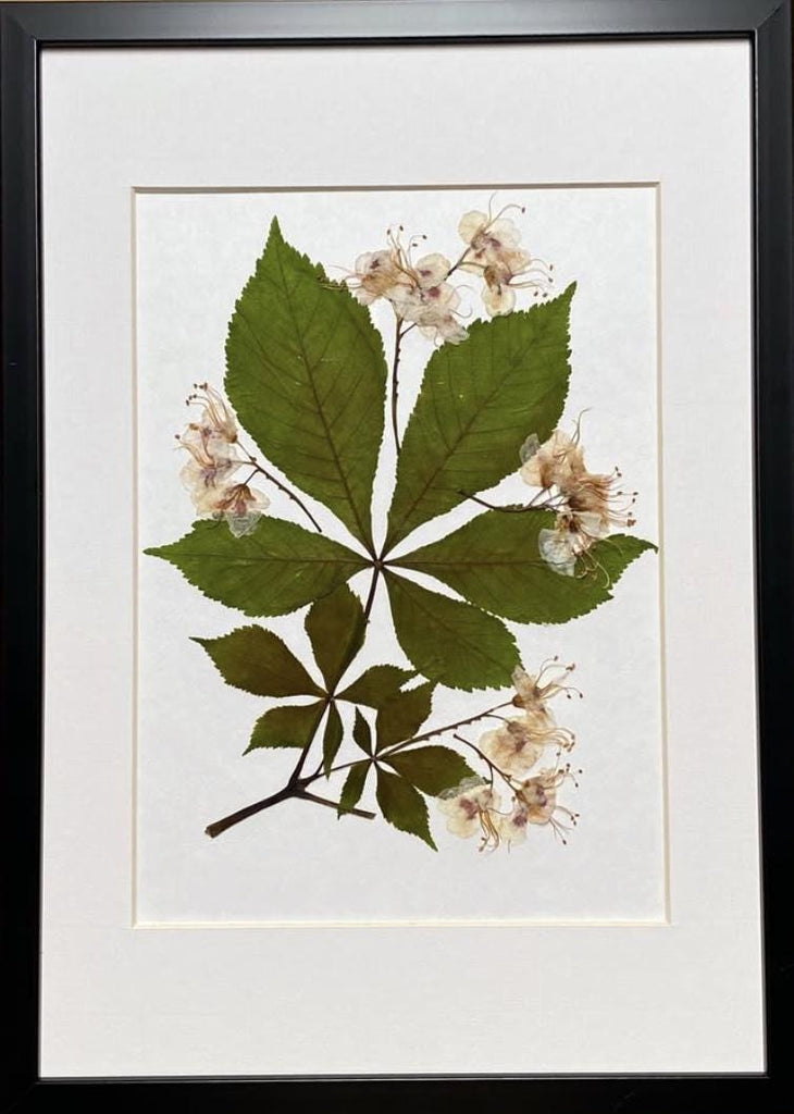 Botanical still nature picture from dried flowers – flowers in frame, natural floral art for home, made by traven