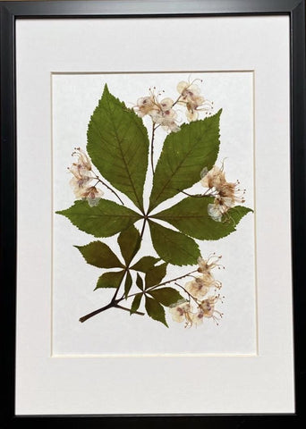 Botanical still nature picture from dried flowers – flowers in frame, natural floral art for home, made by traven