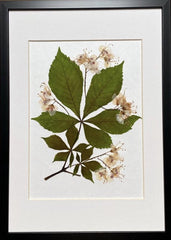Botanical still nature picture from dried flowers – flowers in frame, natural floral art for home, made by traven