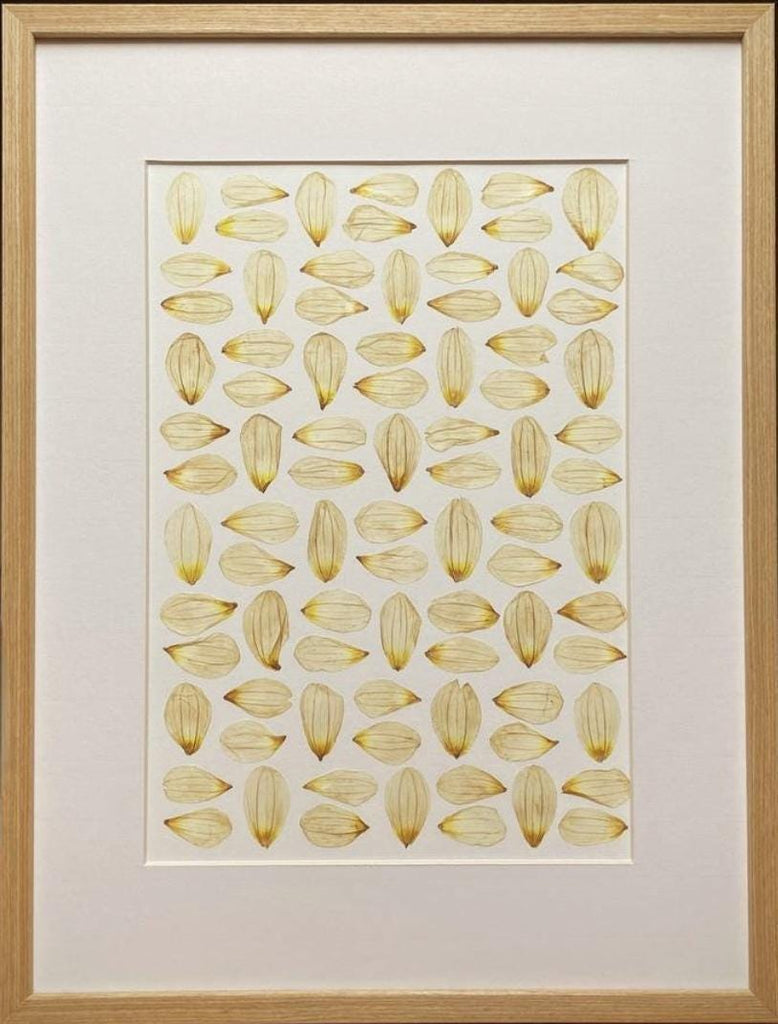 Picture from dried flowers – still nature floral art, flowers in frame, handmade botanical decor, made by traven