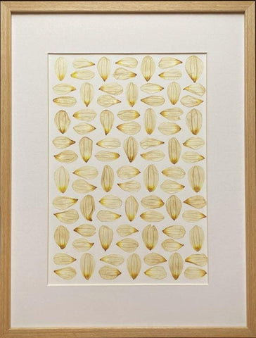 Picture from dried flowers – still nature floral art, flowers in frame, handmade botanical decor, made by traven