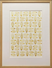 Picture from dried flowers – still nature floral art, flowers in frame, handmade botanical decor, made by traven