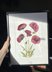 Minimal Wall Art Picture from Dried Flowers – Still Nature Flowers in Frame, made by Traven
