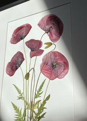 Minimal Wall Art Picture from Dried Flowers – Still Nature Flowers in Frame, made by Traven