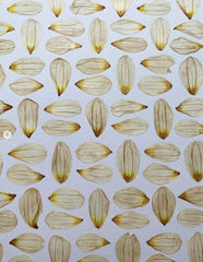 Picture from dried flowers – still nature floral art, flowers in frame, handmade botanical decor, made by traven