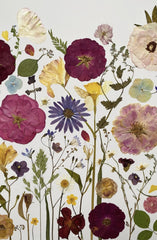 Scandinavian Minimal Picture from Dried Flowers – Still Nature, Flowers in Frame, made by Traven