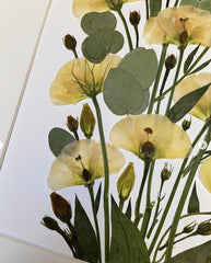 Flowers in frame – picture from dried flowers, still nature botanical artwork, handmade wall decor, made by traven