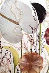 Neutral still nature picture from dried flowers – flowers in frame, made by traven
