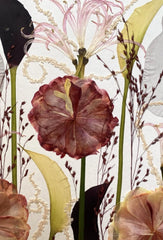 Neutral still nature picture from dried flowers – flowers in frame, made by traven