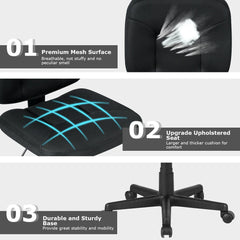 Test - Low-Back Office Chair with Adjustable Height & Lumbar Support