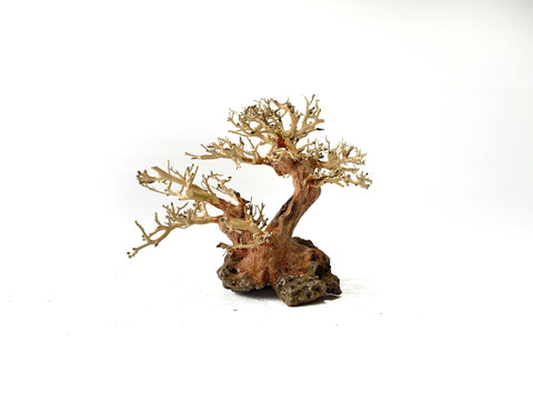 Bonsai Driftwood tree - Style Fantasy 2 15cm Tall