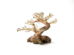 Bonsai Driftwood tree - Style Fantasy 2 15cm Tall