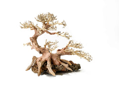 Bonsai Driftwood tree - Style Fantasy 2 15cm Tall