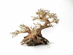 Bonsai Driftwood tree - Style Fantasy 2 15cm Tall