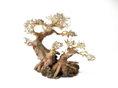 Bonsai Driftwood tree - Style Fantasy 2 15cm Tall