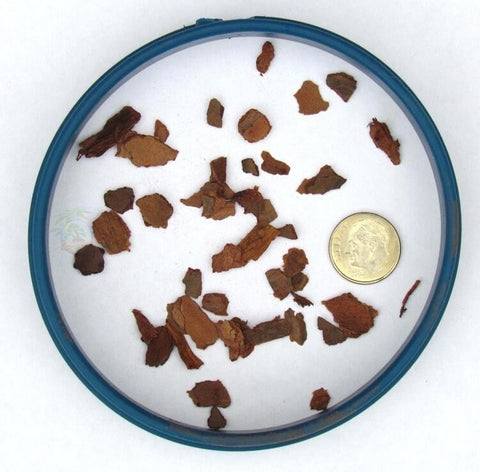 Inch pine bark fines (2 dry quarts)