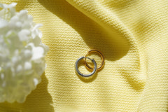 Stainless Steel Hoop Earring