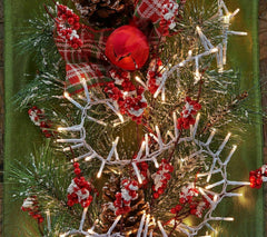 Test listing dont buy  --  18' white microlight stargazer light strand by valeri
