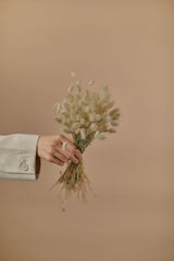 Natural Dried Lagurus - Natural Color Bunny Tails / Wholesale Dried Flowers