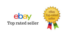 Bethany Lowe 2023 Halloween Midnight Crow on Skull TD2226 Free Ship April Ship