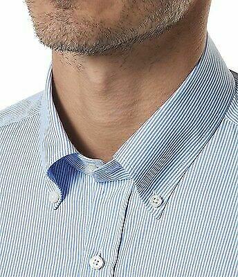Botton down evolution classic men's shirt 2023
